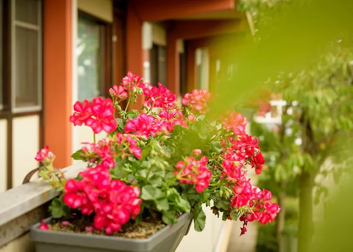 Campanile & Restaurant Oost Hotel 3*