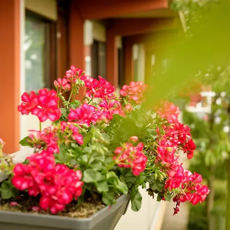 Campanile & Restaurant Oost Hotel 3*